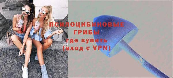 молекула духа Новодвинск
