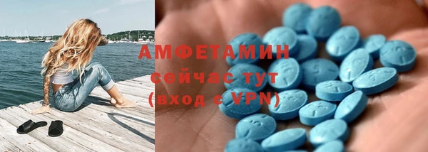 стаф Новозыбков
