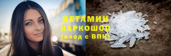 стаф Новозыбков
