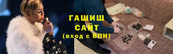 стаф Новозыбков