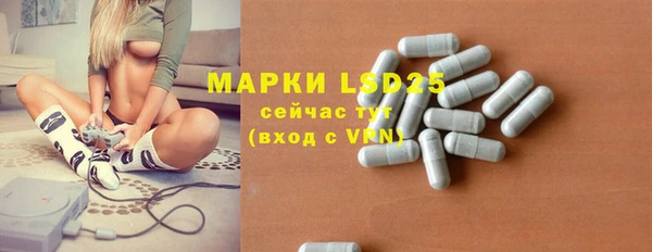 молекула духа Новодвинск