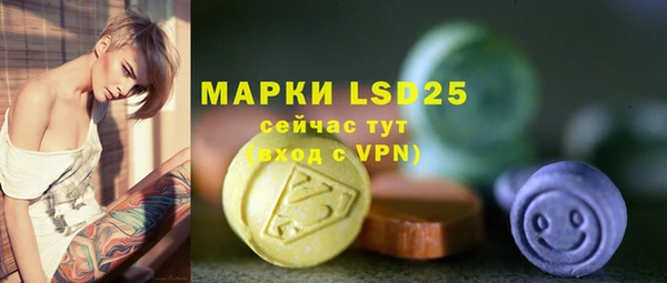молекула духа Новодвинск