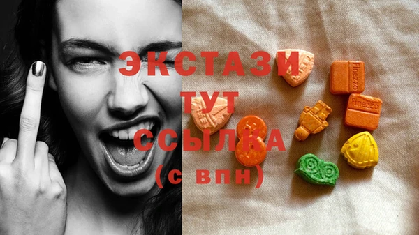 стаф Новозыбков
