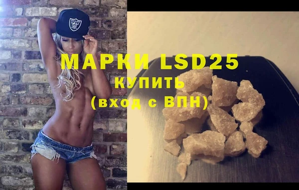 стаф Новозыбков