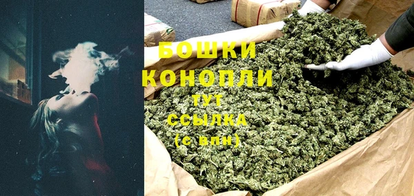 молекула духа Новодвинск
