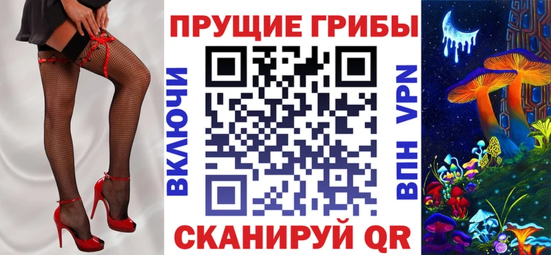 Галлюциногенные грибы Psilocybe Ульяновск