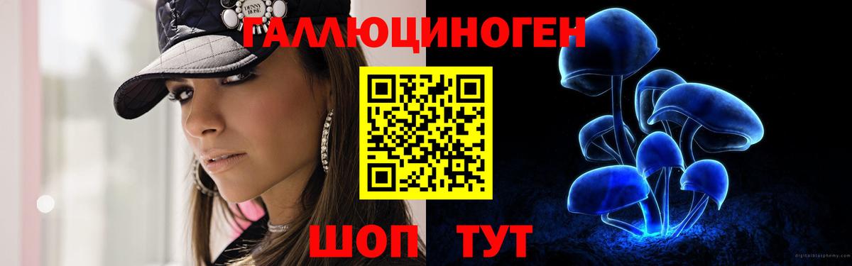 Ульяновск  Галлюциногенные грибы Cubensis  Вход с VPN 